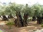 Gerusalemme